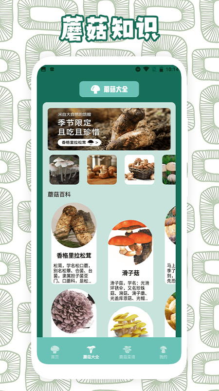 蘑菇识别助手APP
