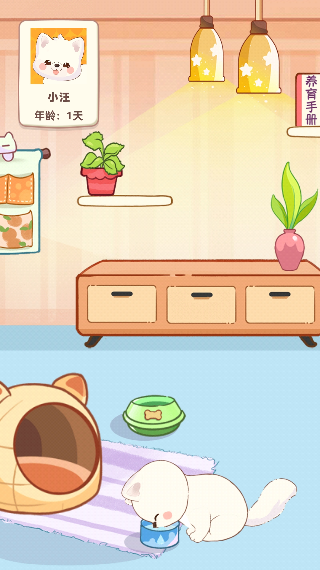 桌面汪APP