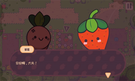 大头菜小子逃税了 第1张图