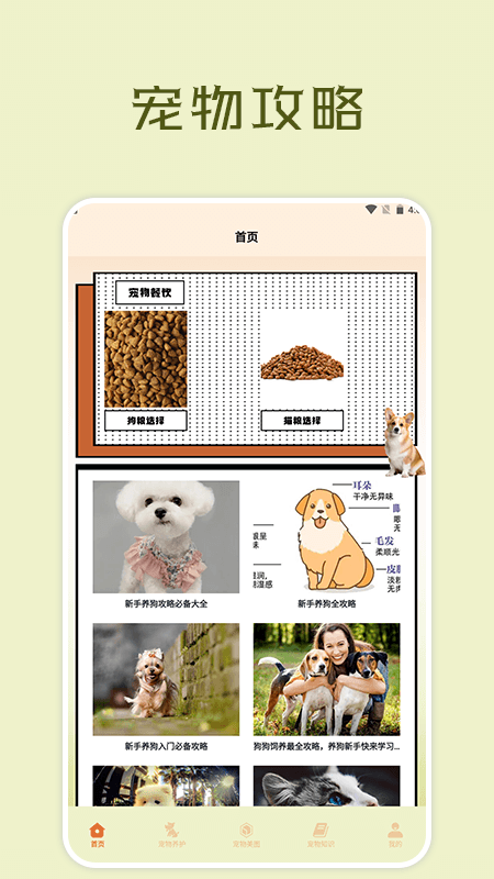 宠物小组件盒子APP