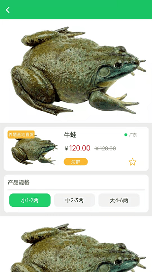 晓能批发APP