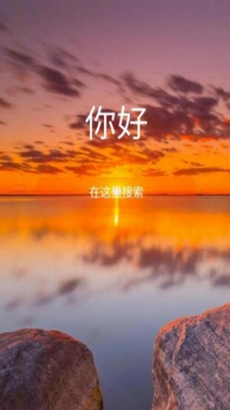 训斌浏览器APP