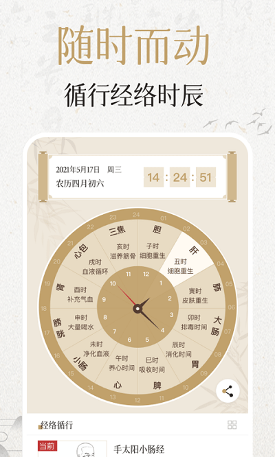 中济经络穴位安卓版APP