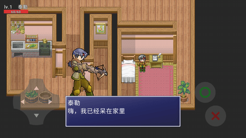 维洛卡之地游戏