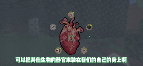 我的世界脆骨症生存整合包wiki游戏