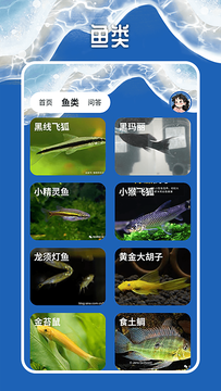 天天钓鱼大师APP
