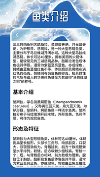 天天钓鱼大师 第1张图