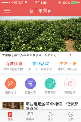 新平果论坛 第2张图