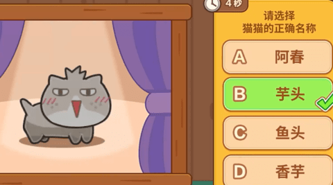 我的完美猫旅 第3张图