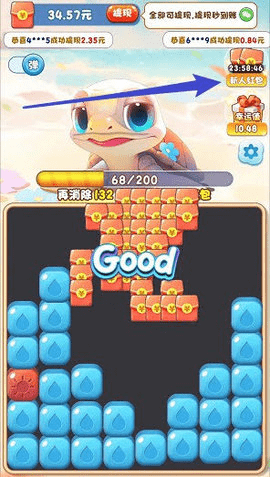 疯狂大海龟 第2张图