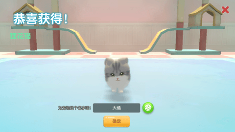 养了个猫正版游戏