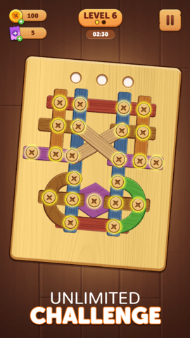 木螺母和螺栓拼图(Wood Nuts & Bolts Puzzle)游戏