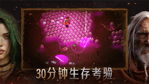 苦痛殿堂(Halls of Torment: Premium)游戏