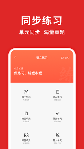 题拍拍app拍照搜题 第5张图