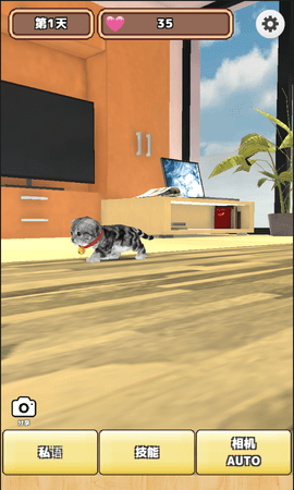 3D猫咪养成游戏