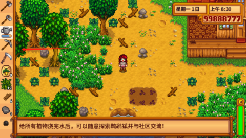 星露谷物语1.6汉化版游戏