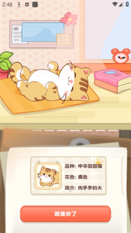 桌面喵 第3张图