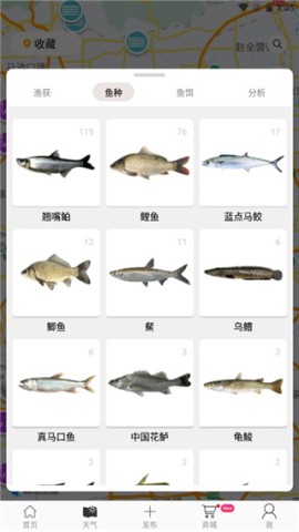 渔获潮汐天气 第3张图