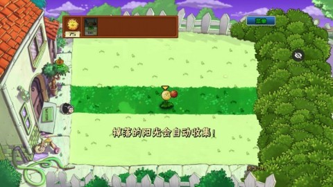 植物大战僵尸ikun版 第3张图