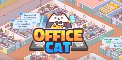 办公室猫咪 第1张图