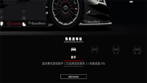 超级房车赛汽车运动 第3张图