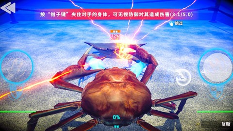 蟹王争霸国际服 第5张图
