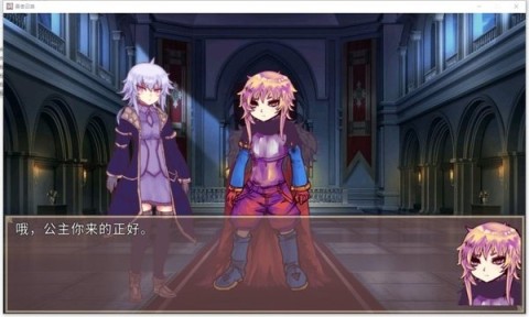 公主勇者大人来了哦 第3张图