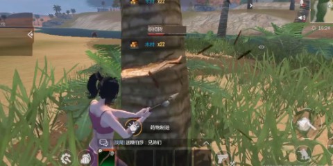 逆境重生 第3张图