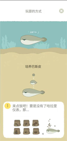 萨卡班甲鱼 第8张图