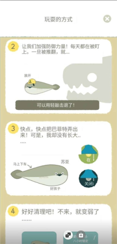 萨卡班甲鱼 第9张图