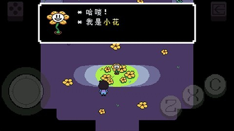 传说之下黄魂传说 第6张图