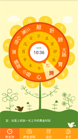 十二时辰经络养生钟 第1张图