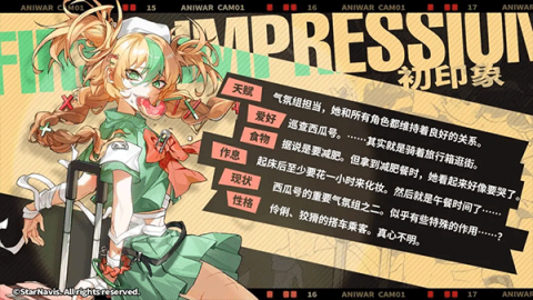 阿涅瓦测试服 第3张图
