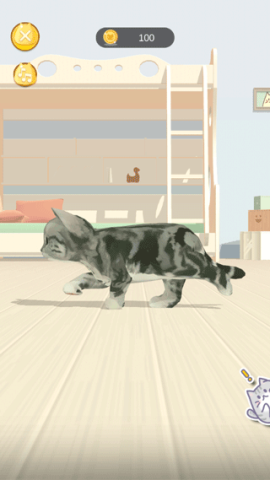 呼噜猫舍 第9张图