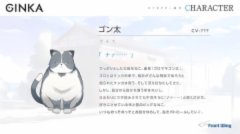 GINKA 第9张图