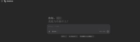 Manus 第4张图