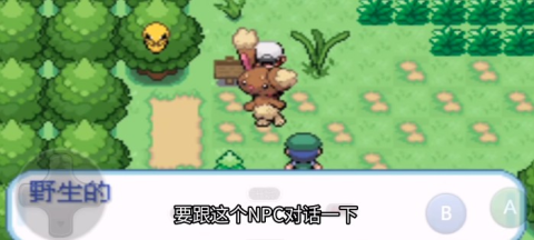 口袋妖怪剑盾10.2版本 第9张图