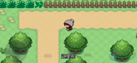 口袋妖怪剑盾10.2版本 第10张图