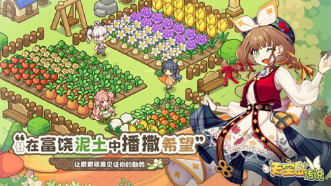 天空岛传说 第1张图