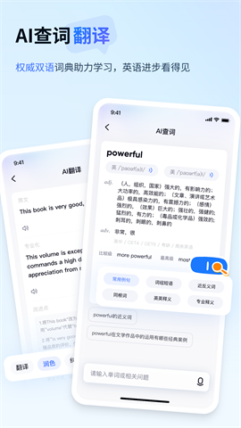 有道小pAPP