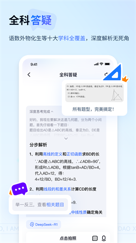 有道小pAPP