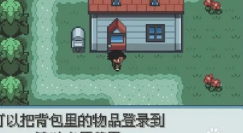 口袋妖怪圣灰 第3张图