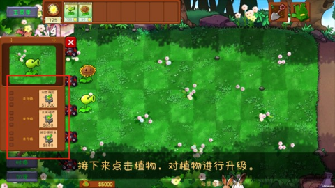 植物大战僵尸共生版 第3张图