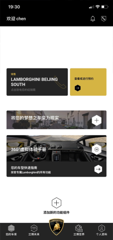 兰博基尼UNICA 第11张图