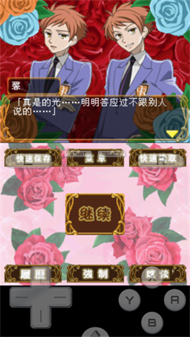 樱兰高校男公关部游戏