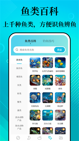 潮汐精灵app免费官方版 第2张图