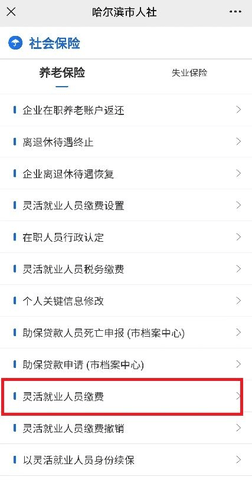 哈尔滨智慧人社 第2张图