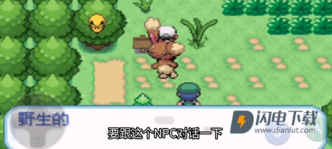 口袋妖怪剑盾像素版 第14张图