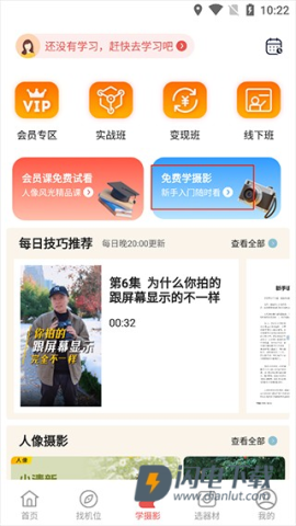 蚂蚁摄影 第2张图