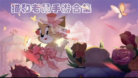 猫和老鼠手游合集
